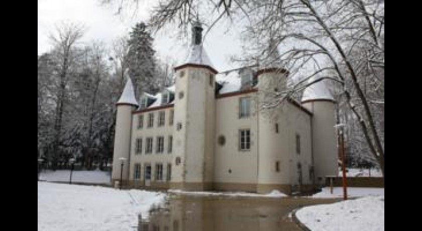 Chateau De La Motte  Louchy-montfand