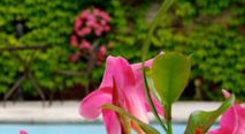 Le Pavillon D 'enghien  Vichy