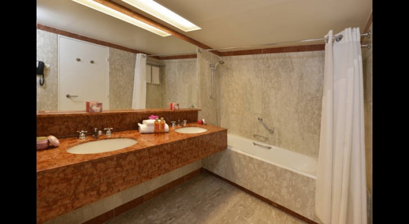 Hotel Holiday Inn Nice 