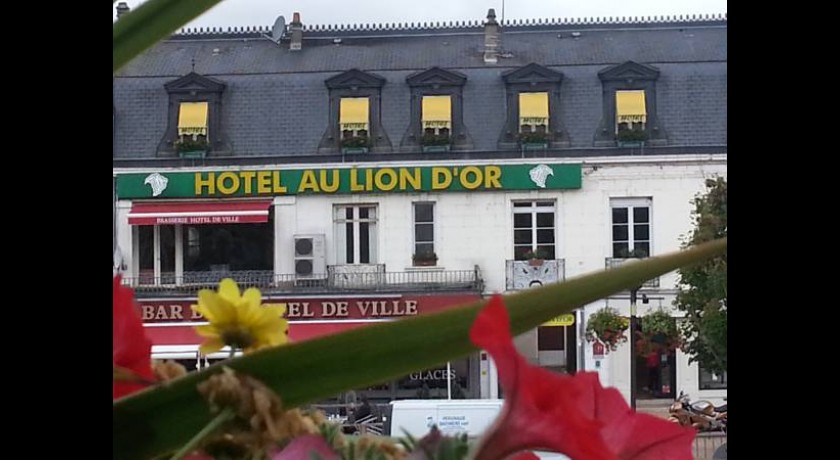 Hôtel Au Lion D'or  Nogent-le-rotrou