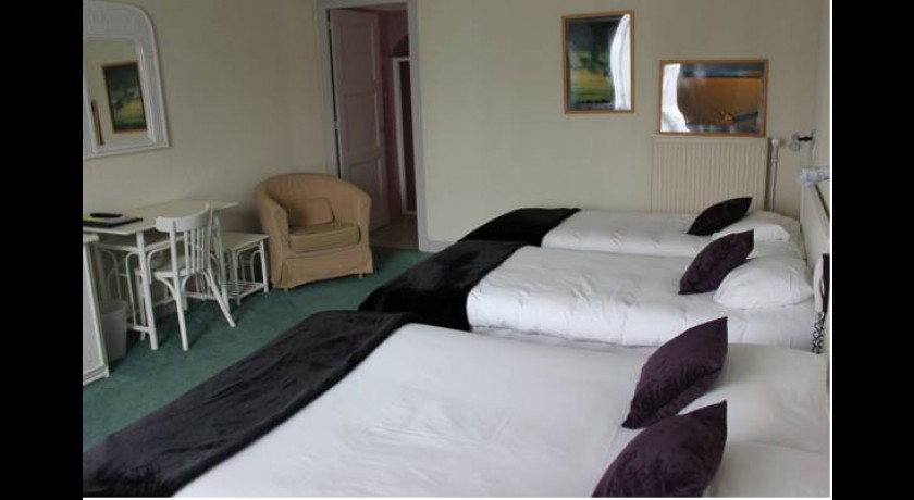 Hôtel Du Cerf  Briare