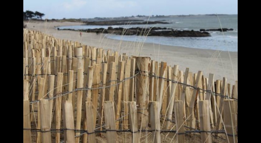 Hotel Les Mouettes  Larmor-plage