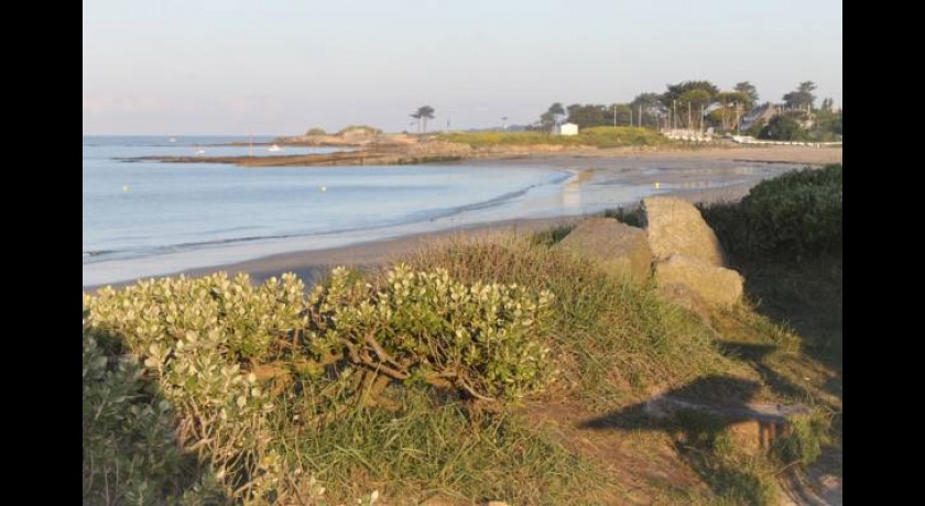 Hotel Les Mouettes  Larmor-plage