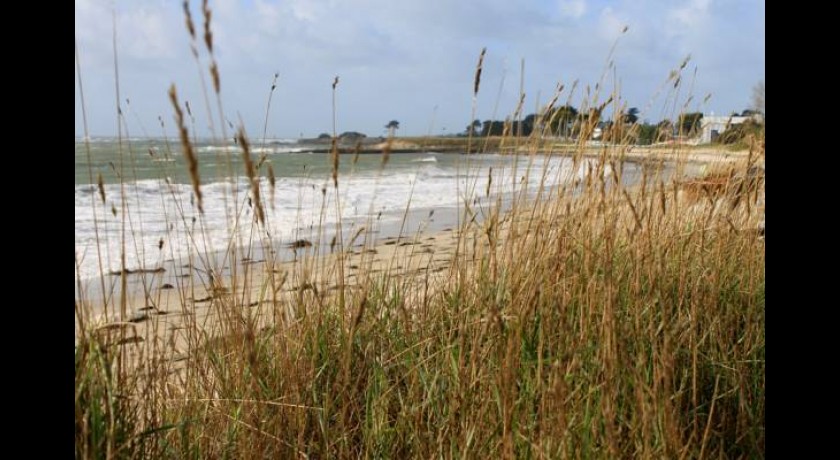 Hotel Les Mouettes  Larmor-plage