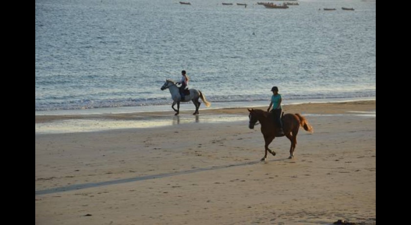 Hotel Les Mouettes  Larmor-plage