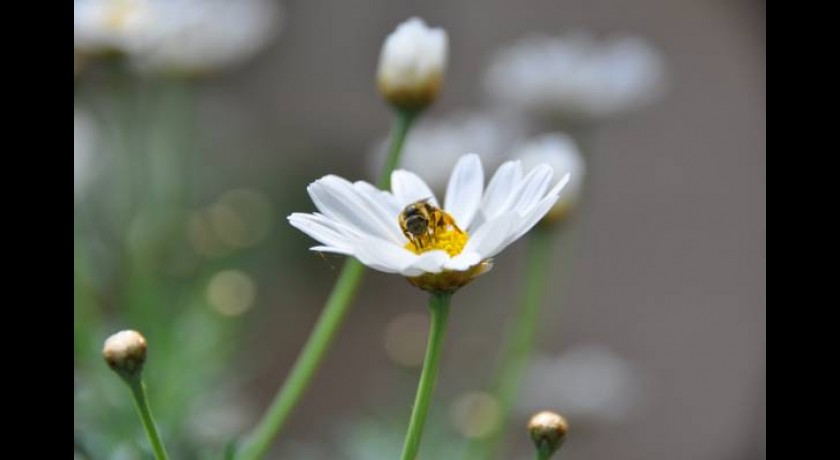 Hotel Motel La Cigaliere  Le beausset