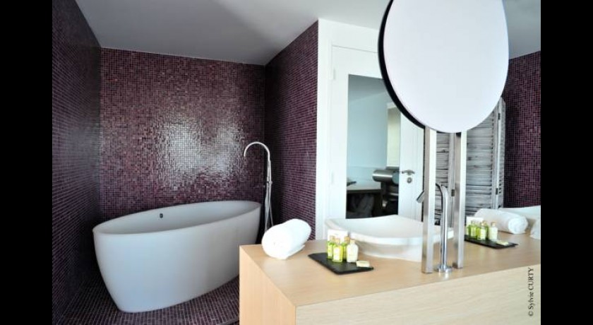 Hotel Les Jardins Du Lac  Trizay