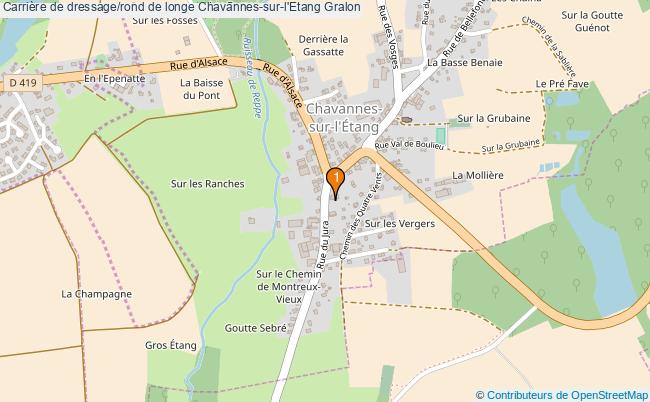 plan Carrière de dressage/rond de longe Chavannes-sur-l'Etang : 1 équipements