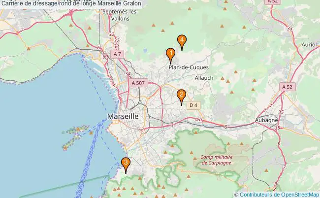 plan Carrière de dressage/rond de longe Marseille : 4 équipements