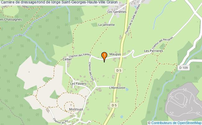 plan Carrière de dressage/rond de longe Saint-Georges-Haute-Ville : 1 équipements