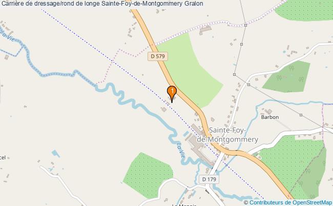 plan Carrière de dressage/rond de longe Sainte-Foy-de-Montgommery : 1 équipements