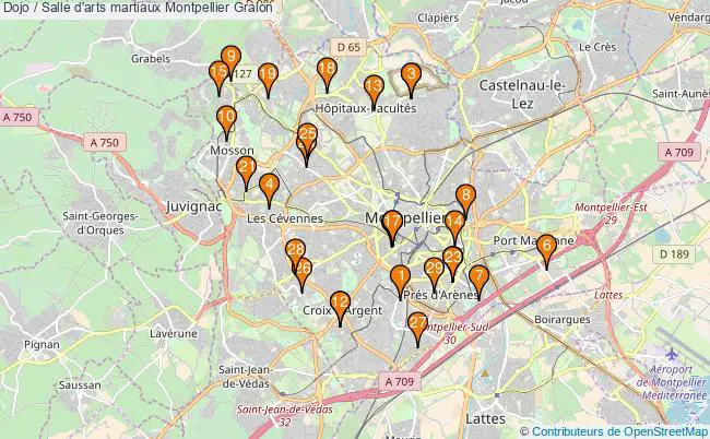 plan Dojo / Salle d'arts martiaux Montpellier : 29 équipements