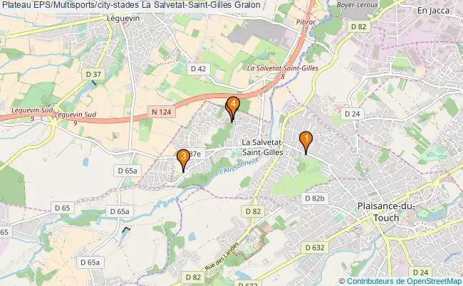 plan Plateau EPS/Multisports/city-stades La Salvetat-Saint-Gilles : 4 équipements