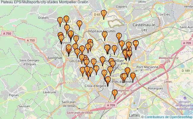 plan Plateau EPS/Multisports/city-stades Montpellier : 60 équipements