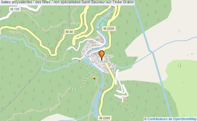 plan Salles polyvalentes / des fêtes / non spécialisées Saint-Sauveur-sur-Tinée : 1 équipements