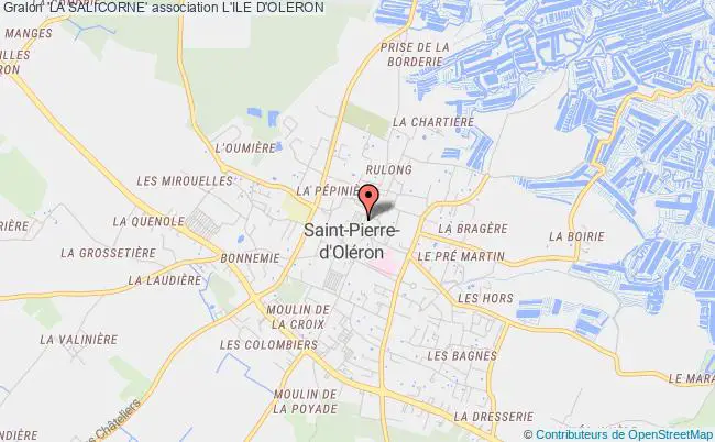 plan association 'la Salicorne' Saint-Pierre-d'Oléron