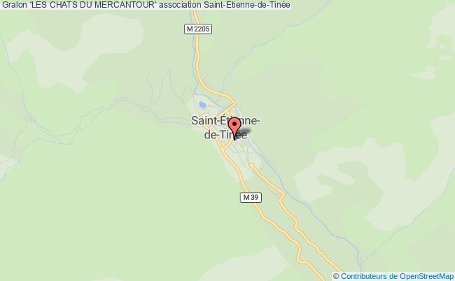 'LES CHATS DU MERCANTOUR'