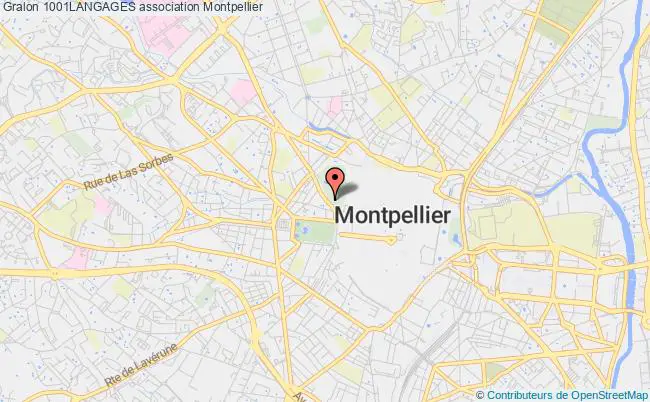 plan association 1001langages Montpellier