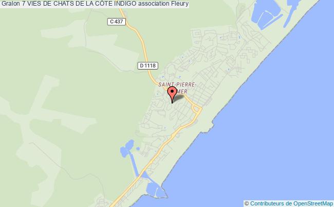 7 VIES DE CHATS DE LA CÔTE INDIGO