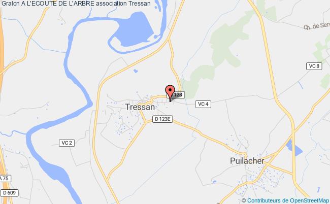 A L'ECOUTE DE L'ARBRE