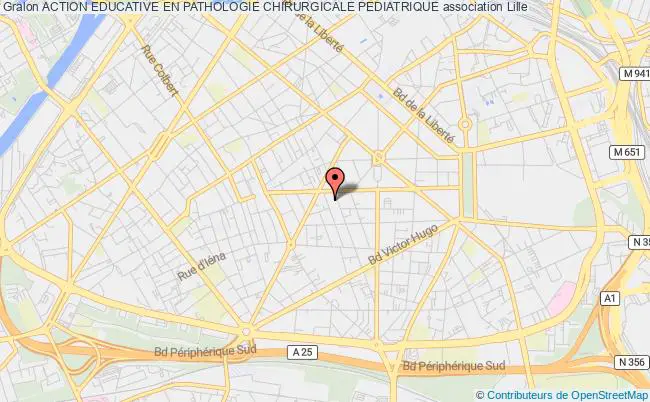 plan association Action Educative En Pathologie Chirurgicale Pediatrique Lille