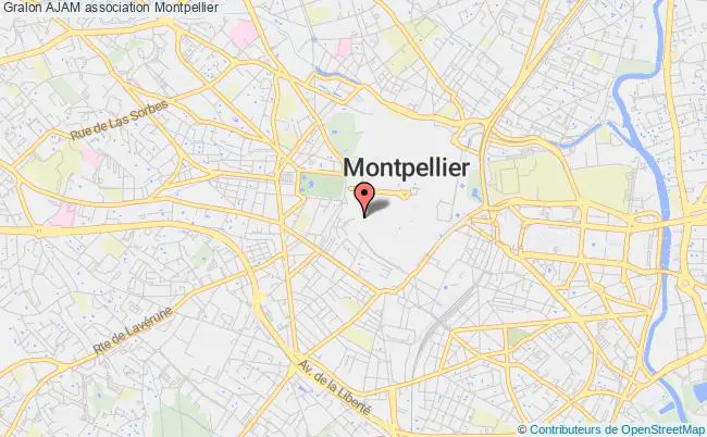 plan association Ajam Montpellier
