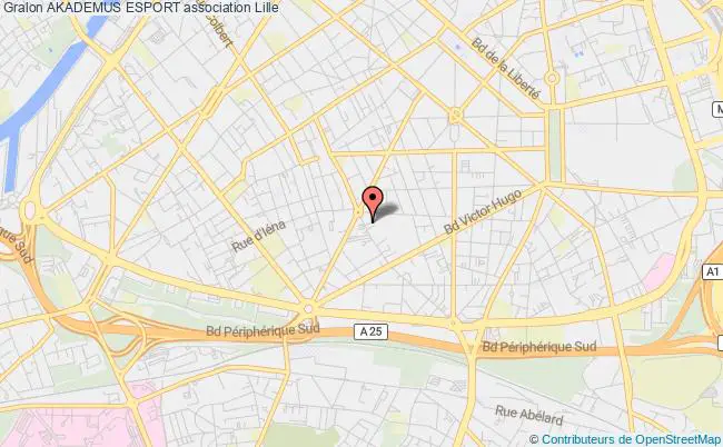 plan association Akademus Esport Lille