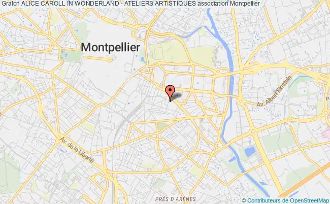 plan association Alice Caroll In Wonderland - Ateliers Artistiques Montpellier