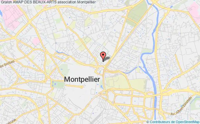 plan association Amap Des Beaux-arts Montpellier