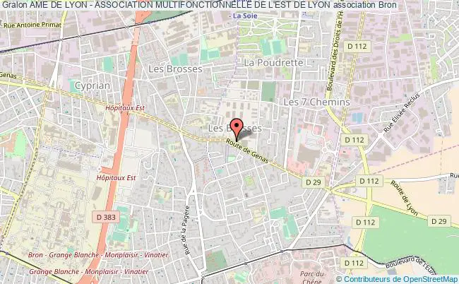 plan association Ame De Lyon - Association Multifonctionnelle De L'est De Lyon Bron