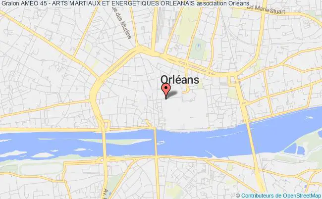plan association Ameo 45 - Arts Martiaux Et Energetiques Orleanais Orléans