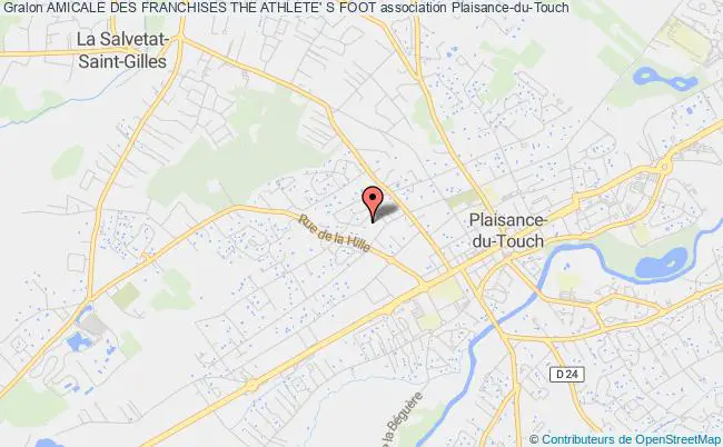 plan association Amicale Des Franchises The Athlete' S Foot Plaisance-du-Touch