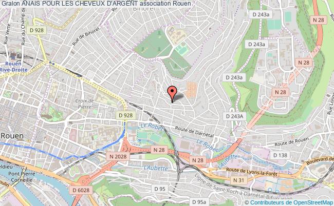 ANAIS POUR LES CHEVEUX D'ARGENT