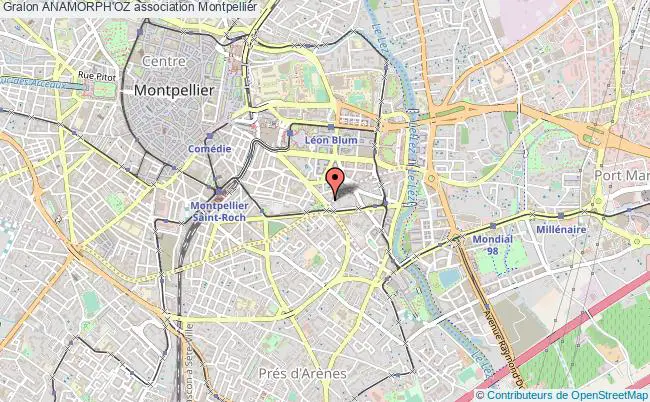 plan association Anamorph'oz Montpellier