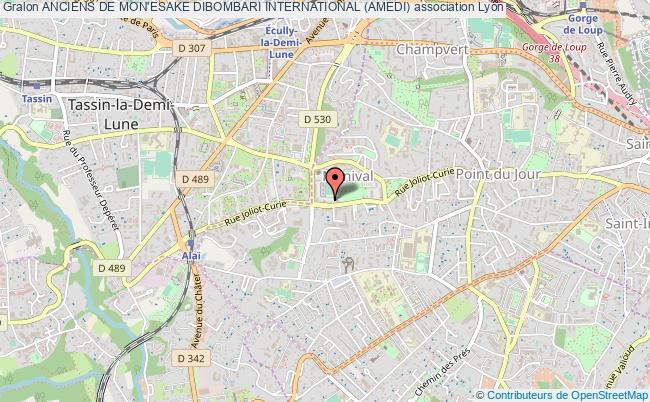 ANCIENS DE MON'ESAKE DIBOMBARI INTERNATIONAL (AMEDI)