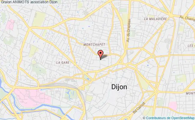 plan association Animots Dijon