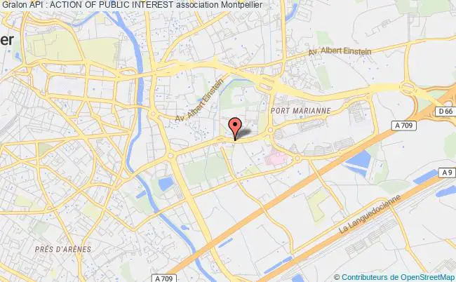 plan association Api : Action Of Public Interest Montpellier