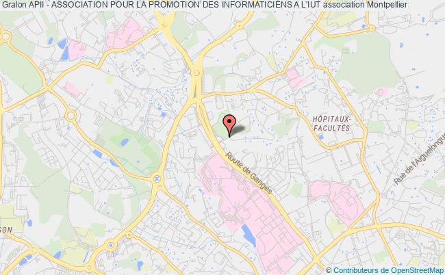plan association Apii - Association Pour La Promotion Des Informaticiens A L'iut Montpellier