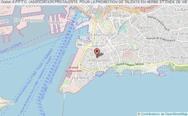 plan association A.p.p.t.o. (association Protalents  Pour La Promotion De Talents En Herbe Et Onde De Vie L'ecole Des Adultes Eurythmie) Toulon