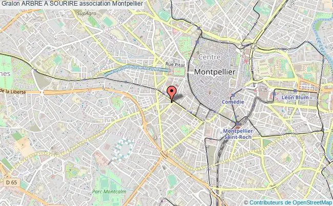 plan association Arbre A Sourire Montpellier