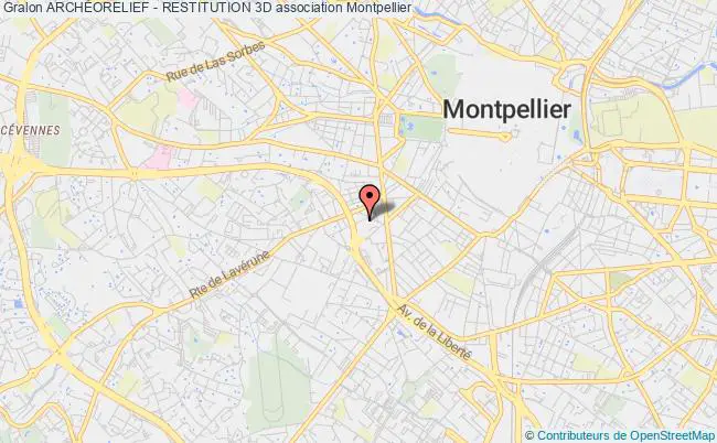plan association ArchÉorelief - Restitution 3d Montpellier