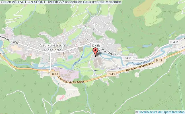 plan association Ash Action Sport Handicap Saulxures-sur-Moselotte