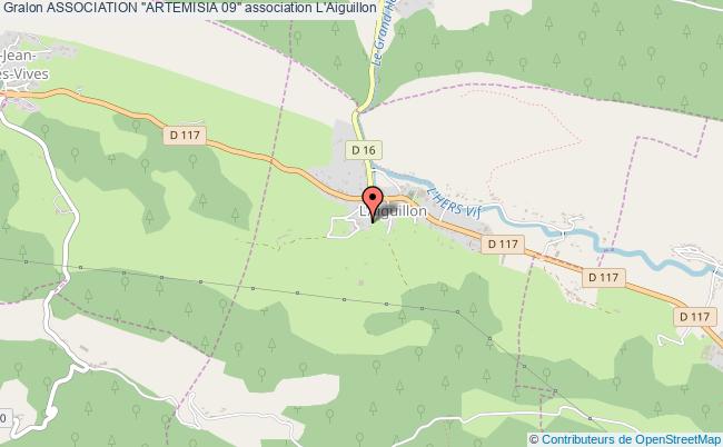 ASSOCIATION "ARTEMISIA 09"