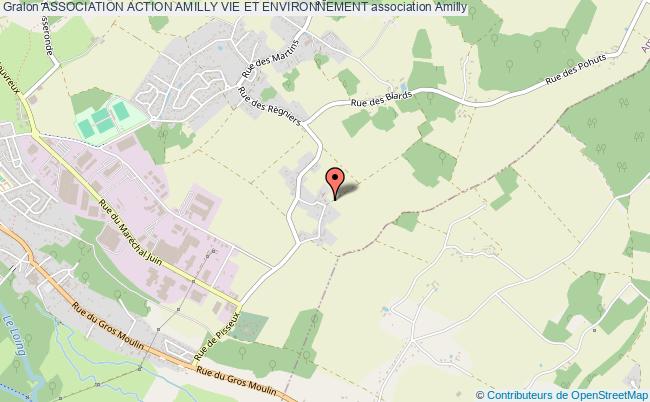 ASSOCIATION ACTION AMILLY VIE ET ENVIRONNEMENT