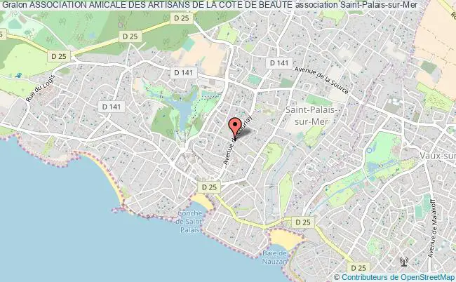plan association Association Amicale Des Artisans De La Cote De Beaute Saint-Palais-sur-Mer