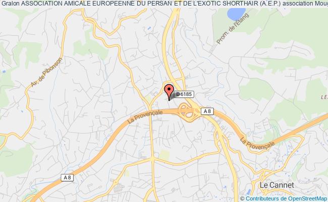 plan association Association Amicale Europeenne Du Persan Et De L'exotic Shorthair (a.e.p.) Mougins