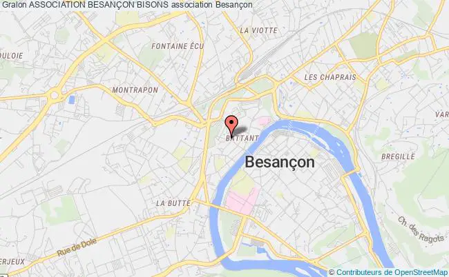 plan association Association BesanÇon Bisons Besançon