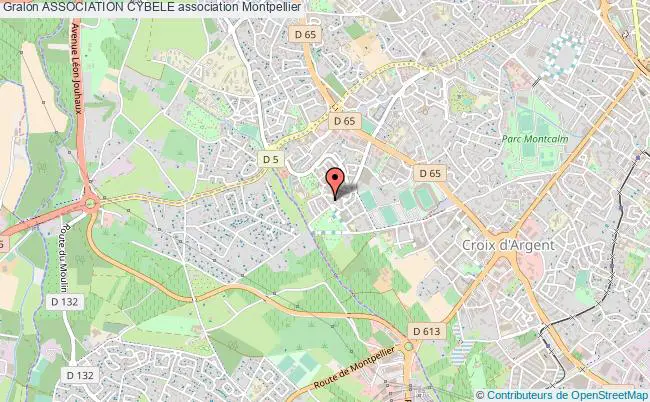 plan association Association Cybele Montpellier