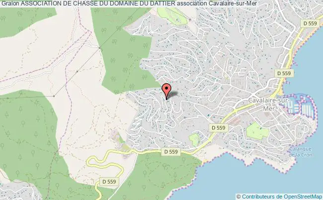 plan association Association De Chasse Du Domaine Du Dattier Cavalaire-sur-Mer