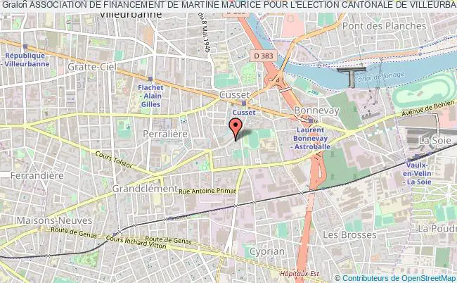 ASSOCIATION DE FINANCEMENT DE MARTINE MAURICE POUR L'ELECTION CANTONALE DE VILLEURBANNE SUD DE 2011 (ADF MM)
